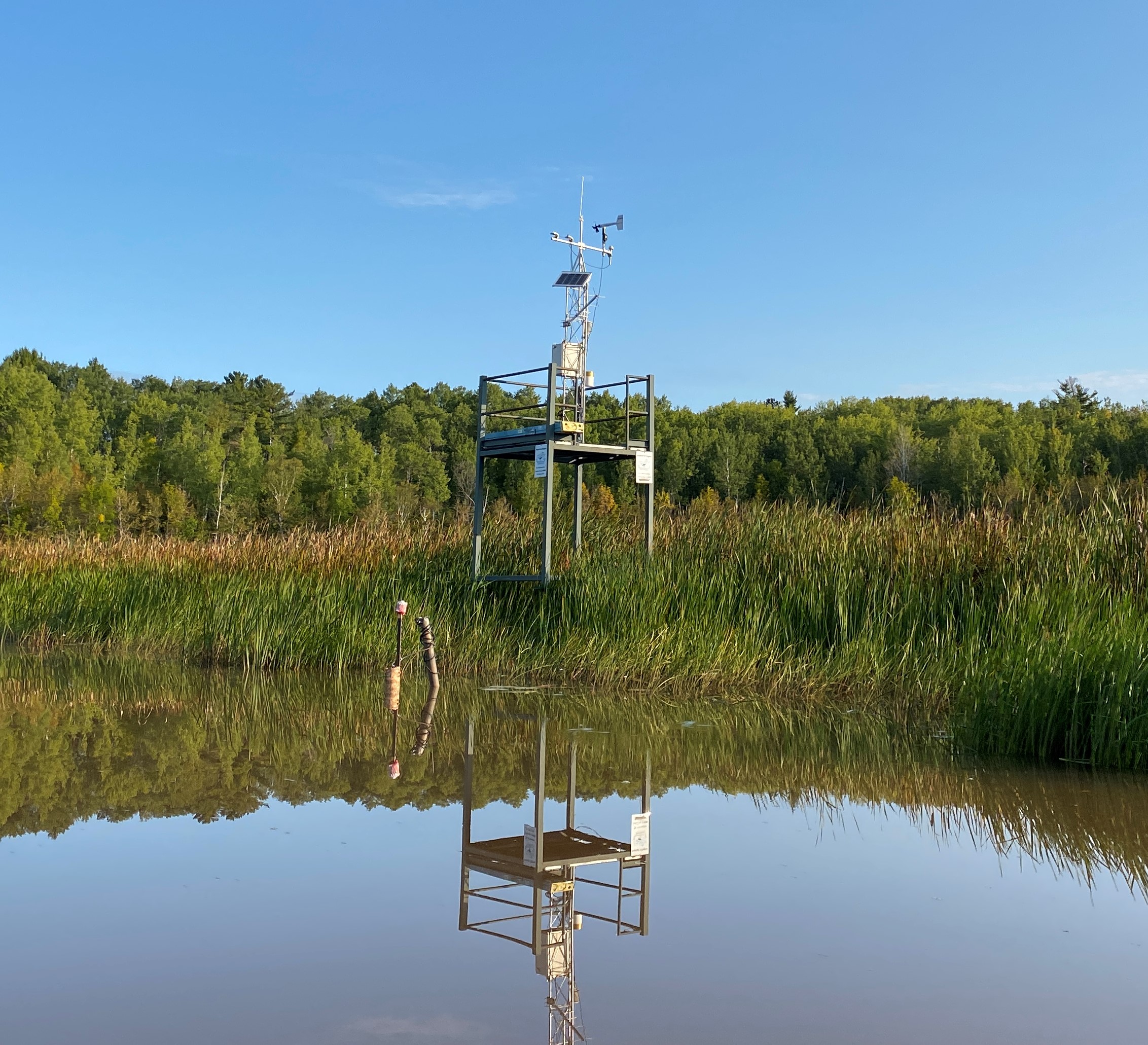 Research Priority Image for Ecological Processes